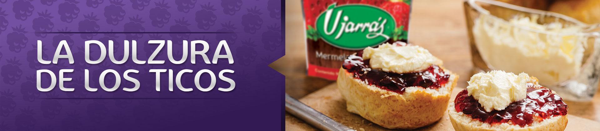 Slider-Home-Dulzura-de-los-ticos